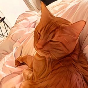 Meet your Posher, Brooke